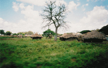 African Village in Kenya