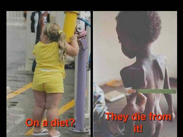 On a diet? They die from it!