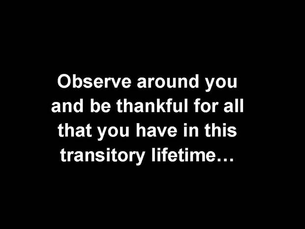 Observe around you and be thankful for all that you have in this transitory lifetime...